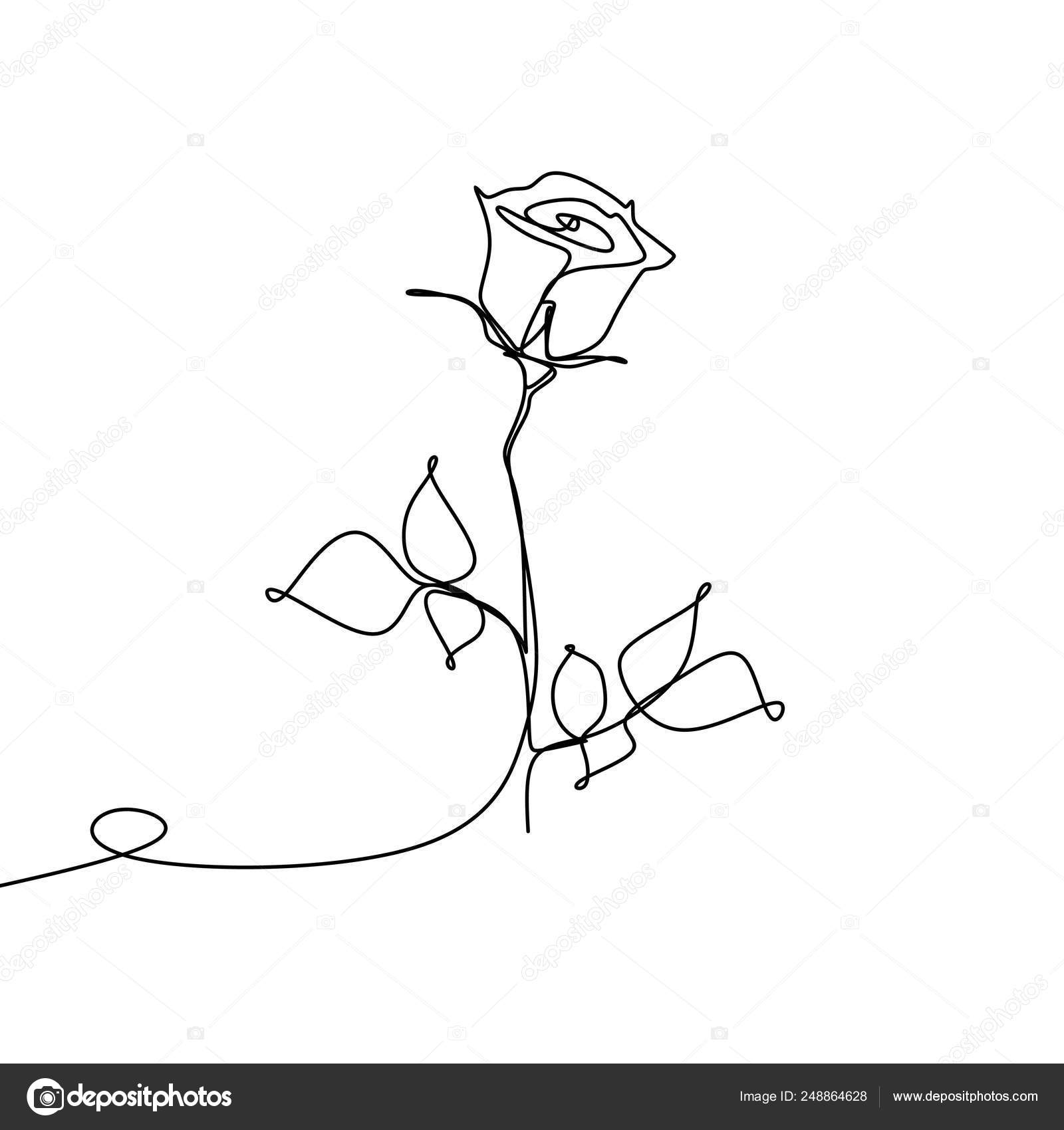 One line drawing of minimalist designs of roses and gifts. Vector  illustrations for posters, banners and wallpaper simple templates of  elegant continuous line art. Stock Vector