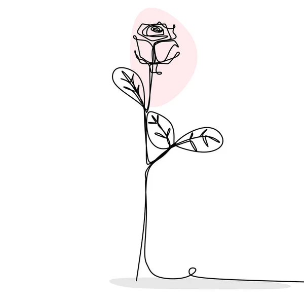 Garis Kontinu Vektor Gambar Bunga Mawar Romantis Simbol Minimal Latar - Stok Vektor