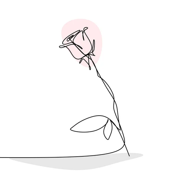  Dessin  au trait esquisse de rose   Image vectorielle 