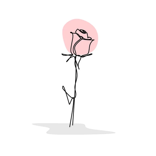 Dibujo Una Sola Línea Flor Rosa Vector Ilustración Dibujado Mano — Archivo Imágenes Vectoriales
