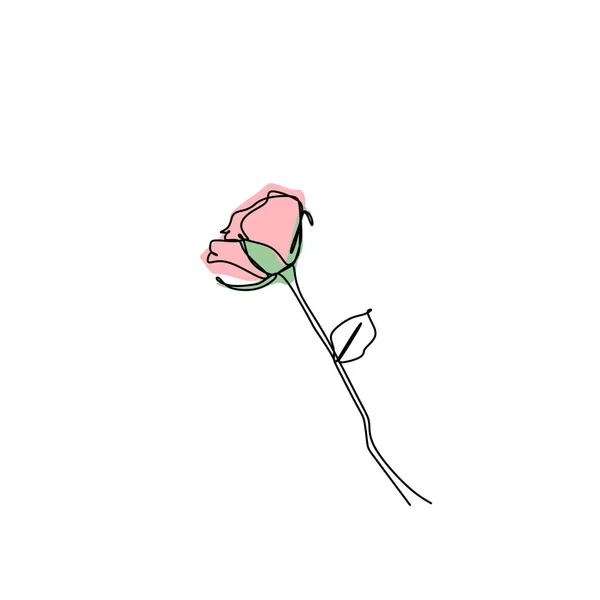 Jediné Souvislé Perokresba Růže Květ Minimalistického Designu Izolovaných Bílém Pozadí — Stockový vektor