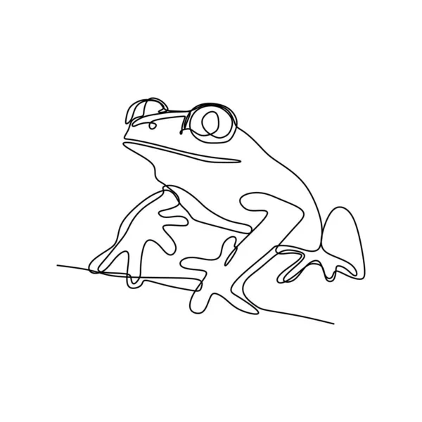 Kartun Dokter Kodok Hewan Stok Vektor Ilustrasi Kartun Dokter Kodok Hewan Bebas Royalti Depositphotos