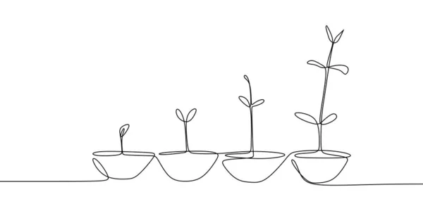 Desenho de linha contínua de processos de crescimento de plantas . — Vetor de Stock