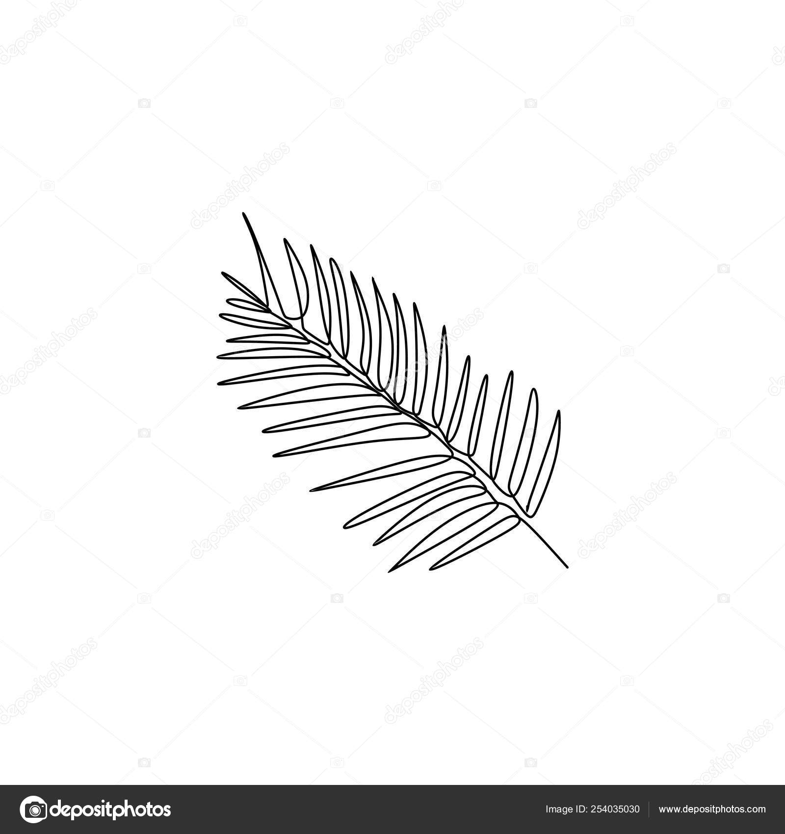 One Line Drawing Of Palm Leaf With Simple Lineart Design Summer Theme Vector Image By C Ngupakarti Vector Stock