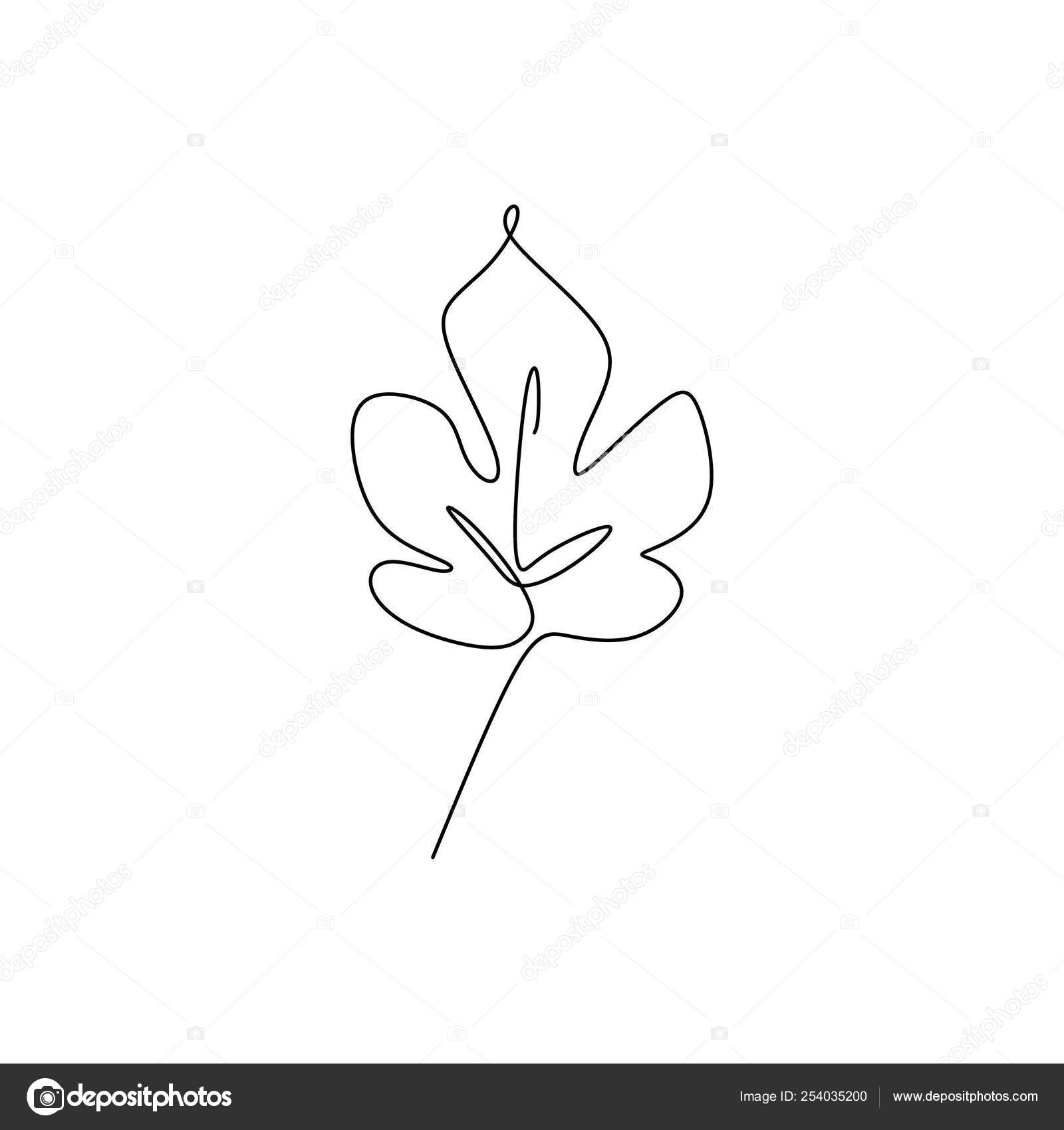 Drawing Continuous Lines Of Leaves With Simple Lines Stock Vector C Ngupakarti 254035200