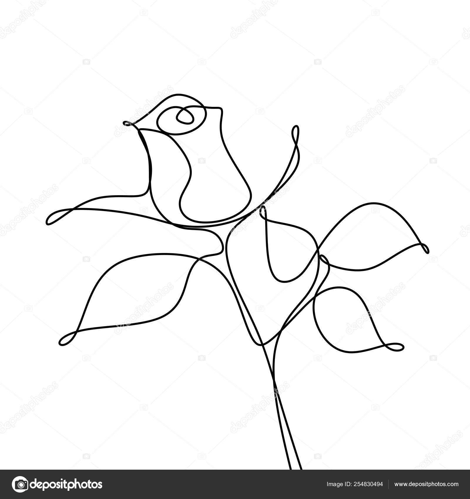 Ligne Continue Dessin Fleur Rose Image Vectorielle