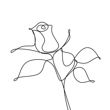 gül çiçeği sürekli çizgi çizimi