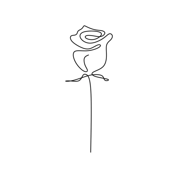 Kontinuierliche Linienzeichnung Einer Rose — Stockvektor