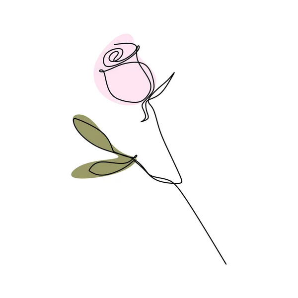 Dessin Linéaire Continu Une Rose — Image vectorielle