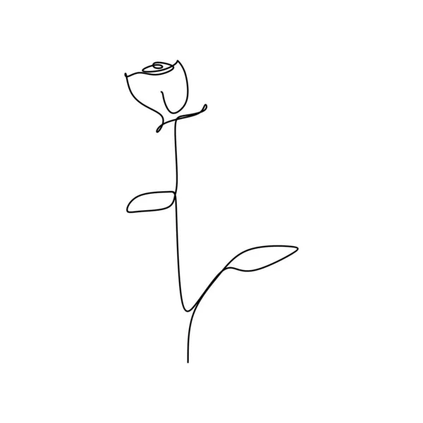 Безперервна Лінія Креслення Троянди — стоковий вектор