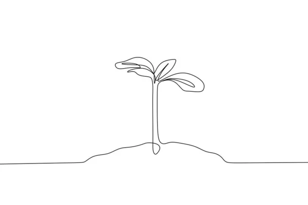 Planta crescente linha contínua desenho vetor ilustração isolado no fundo branco design minimalista —  Vetores de Stock