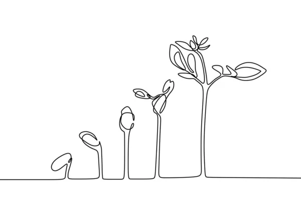 Bitki büyüyen sürekli çizgi çizim bir el çizilmiş minimalist tasarım — Stok Vektör