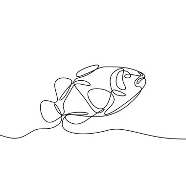 Continuous line drawing of clownfish or Anemon vector Continuous line drawing of clownfish or Anemon vector