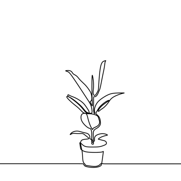 Planta en la olla continua de una línea de dibujo de estilo minimalista — Vector de stock