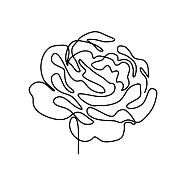 Rose One line ritning minimalism bra för affisch — Stock vektor
