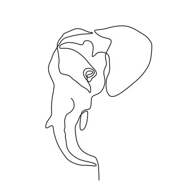 fil kafası bir çizgi minimalsm çizim