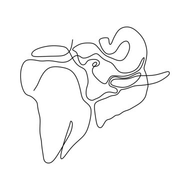fil kafası bir çizgi minimalsm çizim