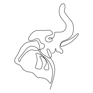 fil kafası bir çizgi minimalsm çizim