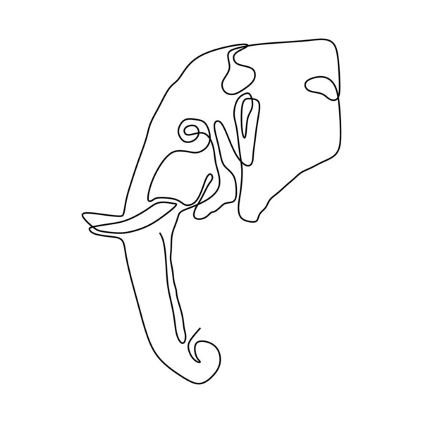 Sloní Hlava Jedna Čára Kreslení Minimalsm — Stockový vektor