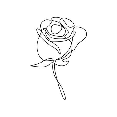 Bir satır gül tasarımı. Beyaz arka planda elle çizilmiş minimalizm tarzı vektör illüstrasyon minimalist sürekli lineart.