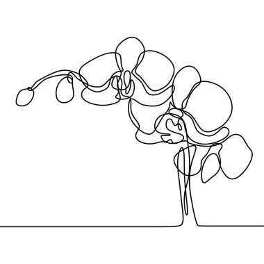 Elle çizilmiş orkide çiçeği. Sürekli çizim vektörü çizen bir çizgi. Beyaz arka planda minimalizmminimalist sanat tasarımı.