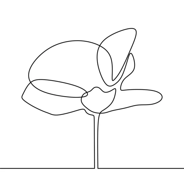 Flor de amapola dibujo de una línea diseño minimalista continuo aislado sobre fondo blanco — Archivo Imágenes Vectoriales