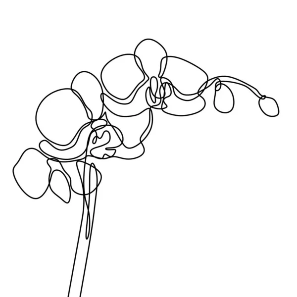Kézzel rajzolt orchidea virág. Egy vonal rajz folyamatos illusztráció vektor. Minimalista művészeti design a minimalizmus fehér háttér. — Stock Vector