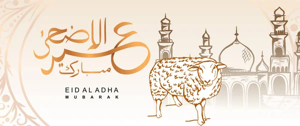 Vector Eid al Adha banner design med handritade får för offer med arabiska kalligrafi Vintage elegant design — Stock vektor
