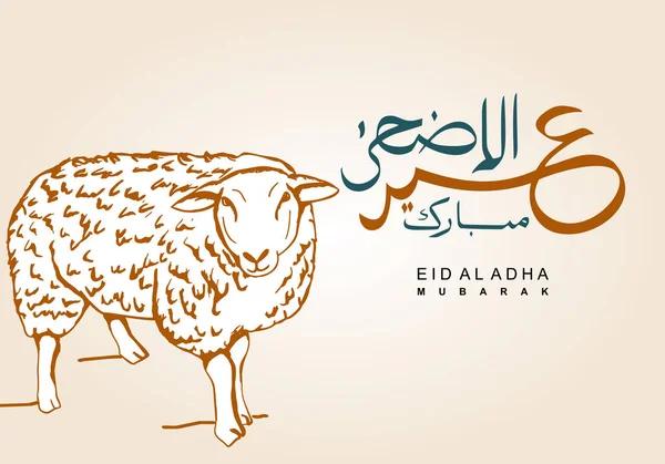 Texto de caligrafía árabe de Eid Mubarak para la celebración del festival comunitario musulmán Eid Al Adha. Tarjeta de felicitación con sacrificial oveja dibujado a mano fondo del boceto. Ilustración vectorial . — Vector de stock