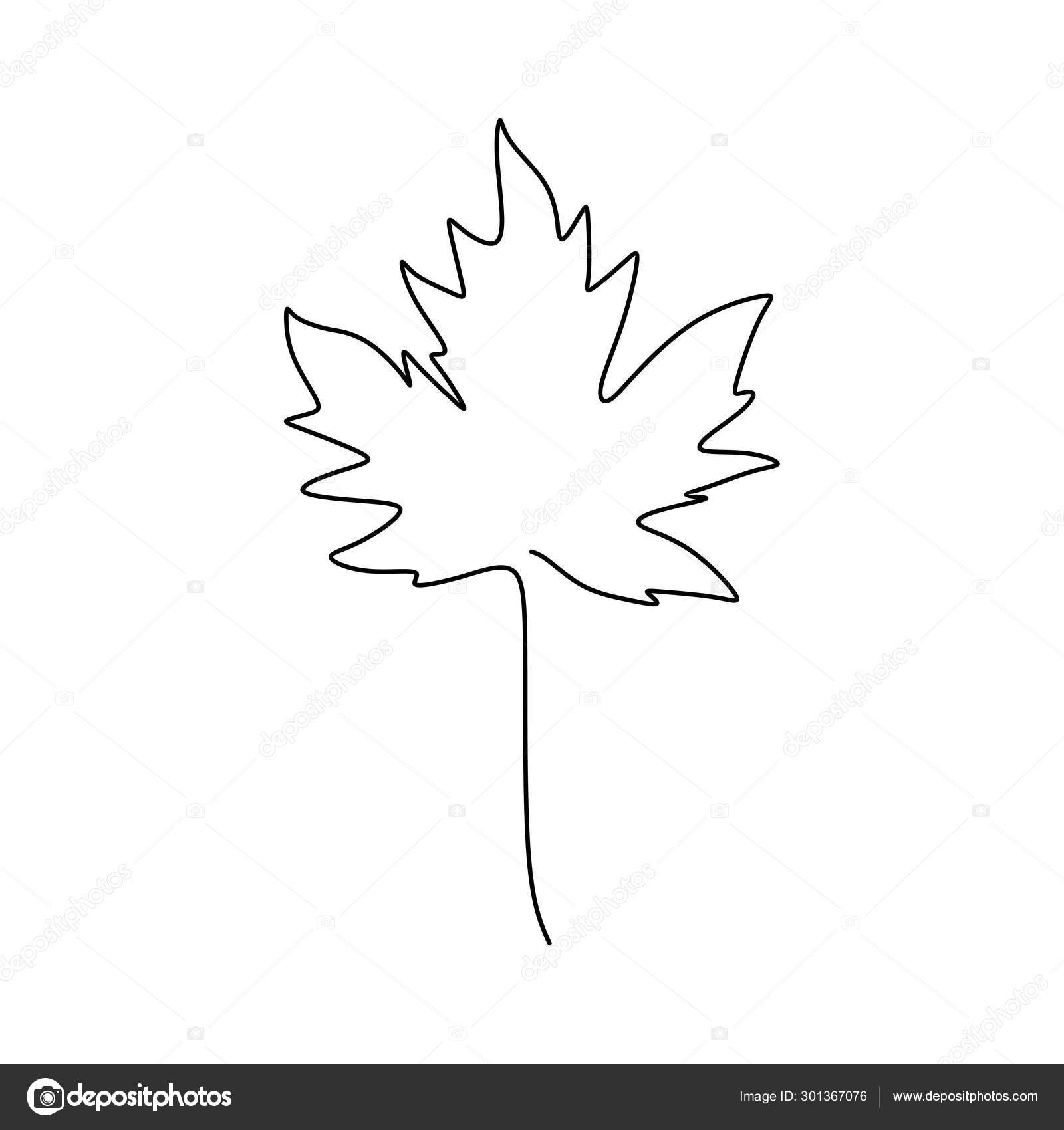 Maple Leaf Continuous One Line Drawing Minimalism Design Stock Vector C Ngupakarti 301367076