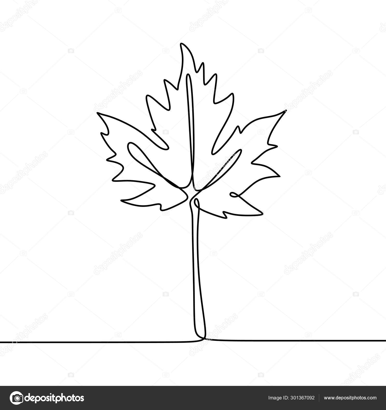 Maple Leaf Continuous One Line Drawing Minimalism Design Stock Vector C Ngupakarti 301367092