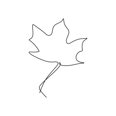 akçaağaç bir çizgi çizim beyaz arka plan üzerinde izole lineart tasarım çizilmiş bir el