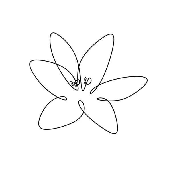 Contínuo uma linha desenho lírio flor isolado no fundo branco vetor ilustração — Vetor de Stock