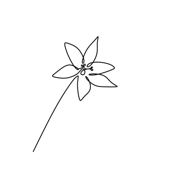 Souvislý jeden spojnicový kreslení lilie izolované na bílém pozadí – ilustrace — Stockový vektor