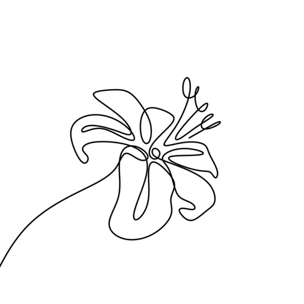 백합 꽃 연속 한 줄 그리기 고립 에 흰색 배경 벡터 그림 — 스톡 벡터