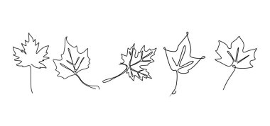 Akçaağaç yaprakları sürekli çizgi çizim el çizilmiş set koleksiyonları. Minimal tasarım basitlik sonbahar teması.