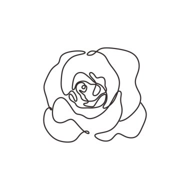 Çiçek sürekli bir çizgi sanat çizim vektör illüstrasyon. Awesome gül tomurcuk beyaz arka plan izole.