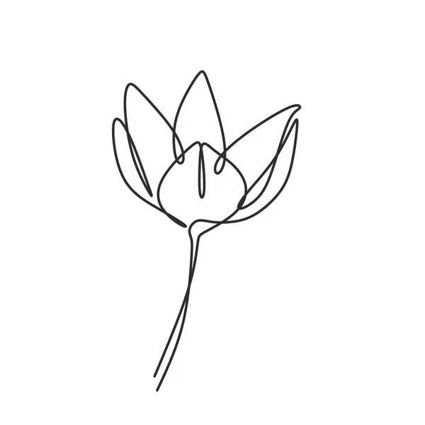 Flor continua de una línea de dibujo aislado sobre fondo blanco minimalismo floral botánico simple lineart. Diseño de simplicidad dibujado a mano dibujo ilustración vector de arte . — Archivo Imágenes Vectoriales