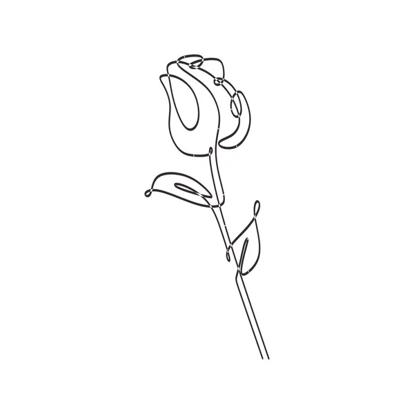 Kontinuerlig en linje ritning Rose Flower minimalistisk design botaniska trädgården Theme. — Stock vektor