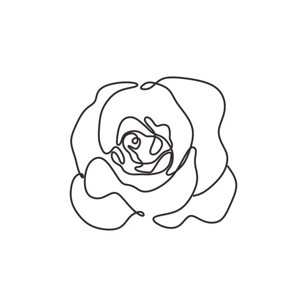Flor continua de una línea de arte dibujo ilustración vectorial. Impresionante brote de rosa aislado sobre fondo blanco . — Vector de stock
