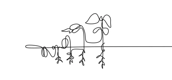 植物連続1線画の成長ステップ。種子、根、芽、葉のベクター要素。最小限のシンプルなデザイン. — ストックベクタ