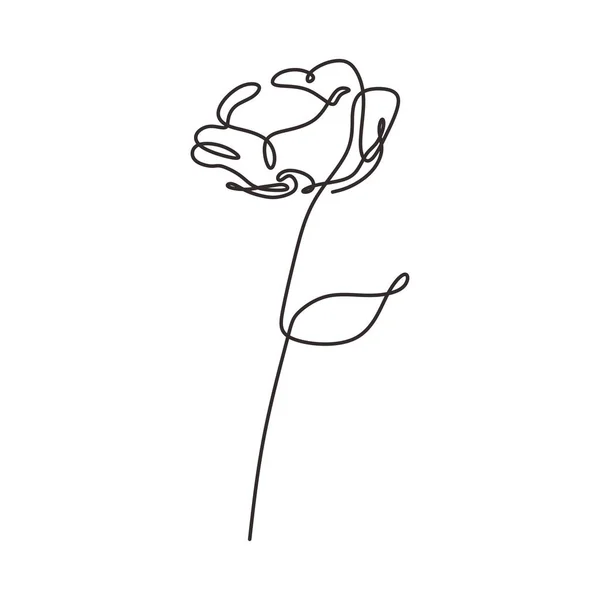 Gül çiçeği sadeliği tarzı bir çizgi çizim — Stok Vektör