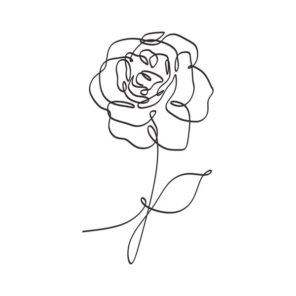 Flower continuous one line art drawing vector illustration. Beauty rose single sketch isolated on white background.