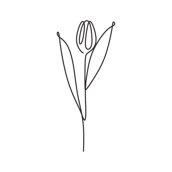 Tulipán dibujo de una línea imágenes de stock de arte vectorial |  Depositphotos