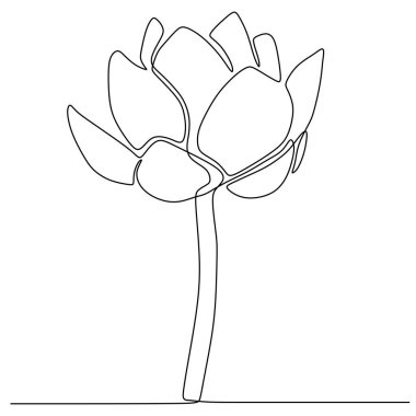 Lily çiçek sürekli bir çizgi çizim beyaz arka plan vektör illüstrasyon izole