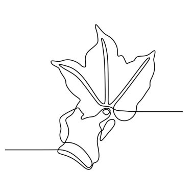 Akçaağaç yaprağı sürekli bir çizgi çizim minimalizm tasarım