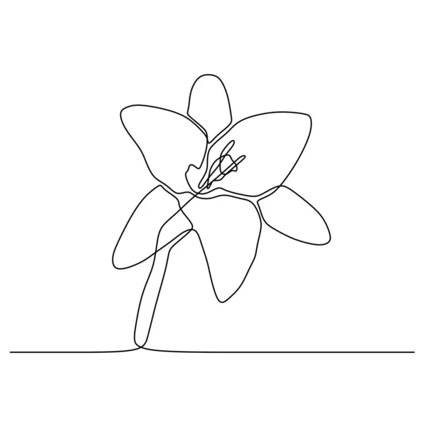 Lily flower continuous one line drawing isolated on white background vector illustration — Stock Vector