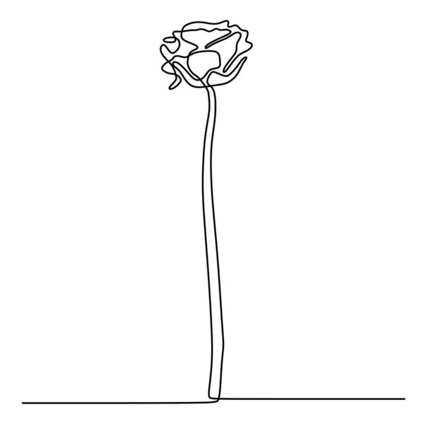 Kontinuierliche Linienzeichnung der Rose Blume Minimalismus Design isoliert auf weißem Hintergrund — Stockvektor