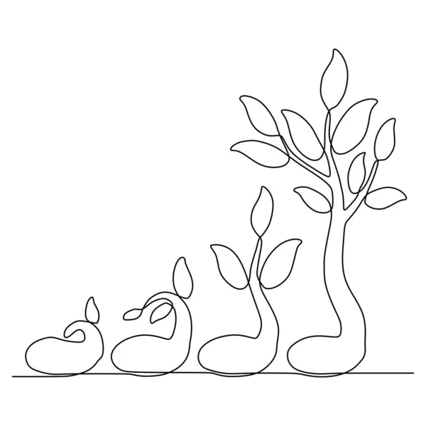 Faza życia roślin ciągła jedna linia rysunek minimalistyczne ilustracji wektorowych z nasion, korzeni i liści — Wektor stockowy