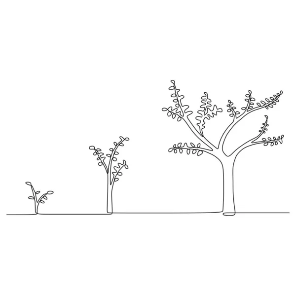 Fase di crescita pianta continua una linea disegno minimalista vettoriale illustrazione da seme, radice, e foglie — Vettoriale Stock